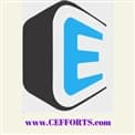 CEfforts India