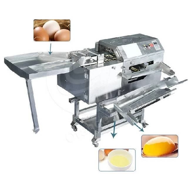 Automatic Eggs Yolk Separator Machine Model EYS–100S