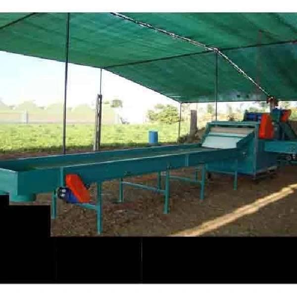Potato Sorting Machine, Model Name/Number: CS1200, Capacity: 15 Tph