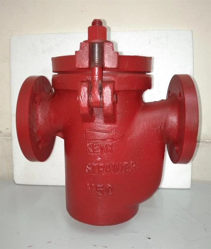 Oil Cast Iron 50MM Simplex Strainer