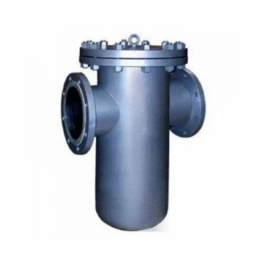 Fabricated T Type Strainer