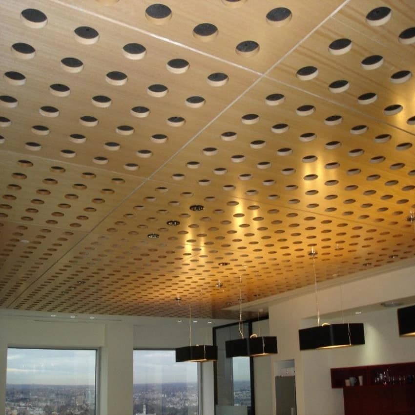 Acoustic Ceiling Work