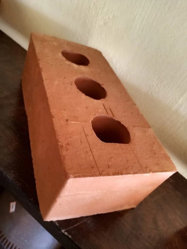 Wire Cut Bricks