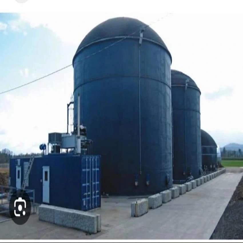 Biogas Digester, Capacity(Kg/Hr): 100