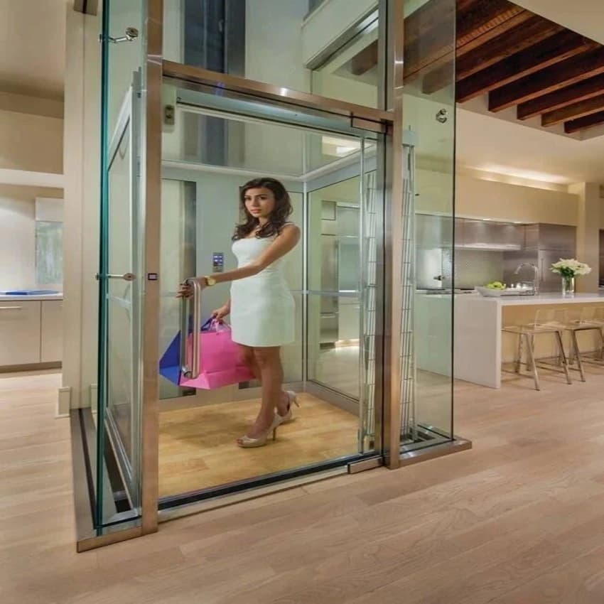 Aleen Glass Passenger Elevator, 6 Persons, Capacity: 4 Persons