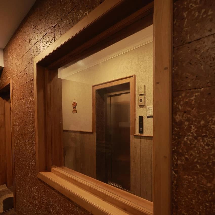 Aaron MRL Elevator
