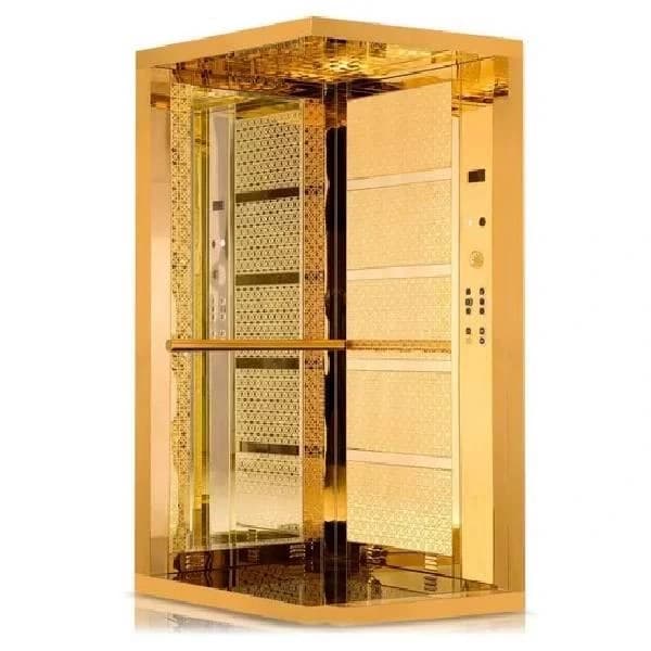 Golden Stainless Steel Elevator