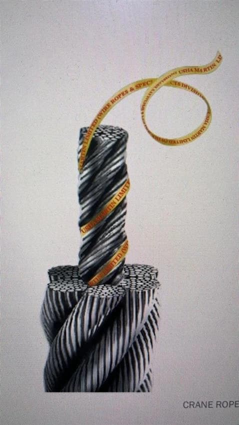 Usha martine Grey Galvanized Wire Rope