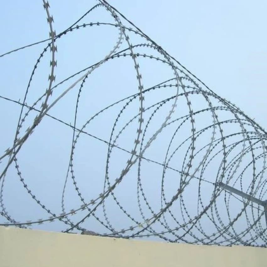 Galvanized Iron Concertina Wire for Fencing