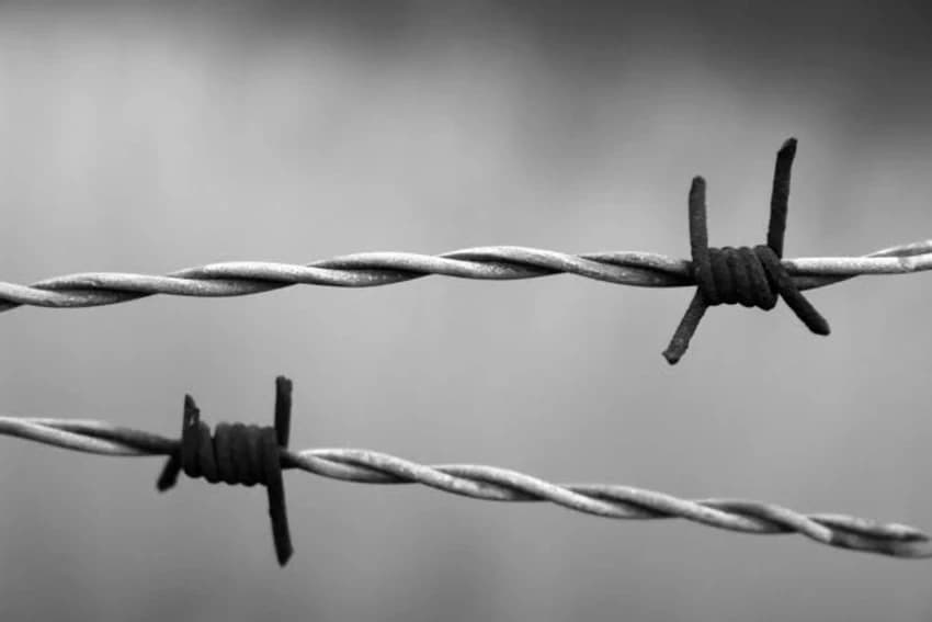 Galvanized Iron Barbed Wire Fencing, 4 Feet