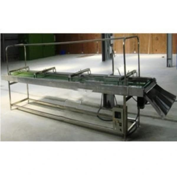 SS Cashew Inspection Conveyor