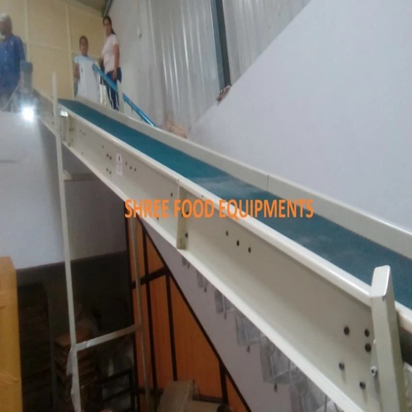 SFE Carton Transfer Conveyor