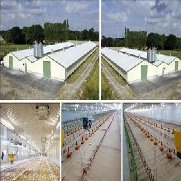 Controlled Poultry Shed