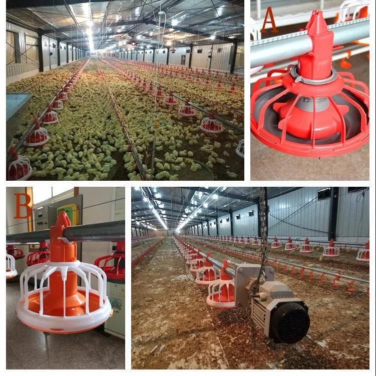 EC Poultry House and Poultry Equipments