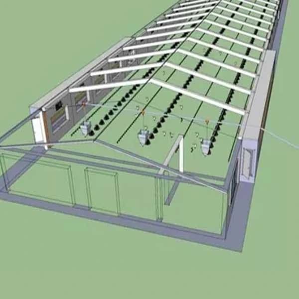 EC POULTRY HOUSE / Fully Automatic Poultry Shed / EC POULTRY EQUIPMENTS
