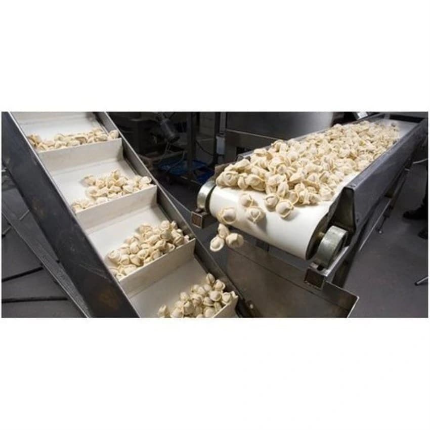 Food Industry Conveyor, 220V