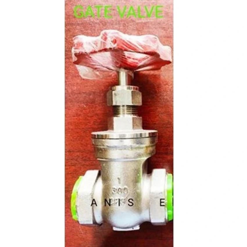 Stainless Steel Gate Valve, Size: 1""