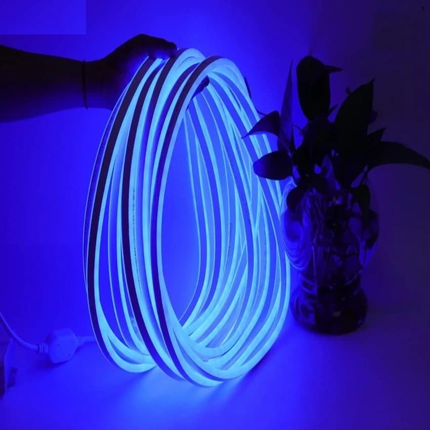 Neon Light Roll