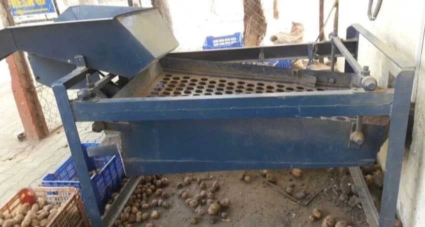 Vibratory Grader Onion Grading Machine, 1 ton/hr