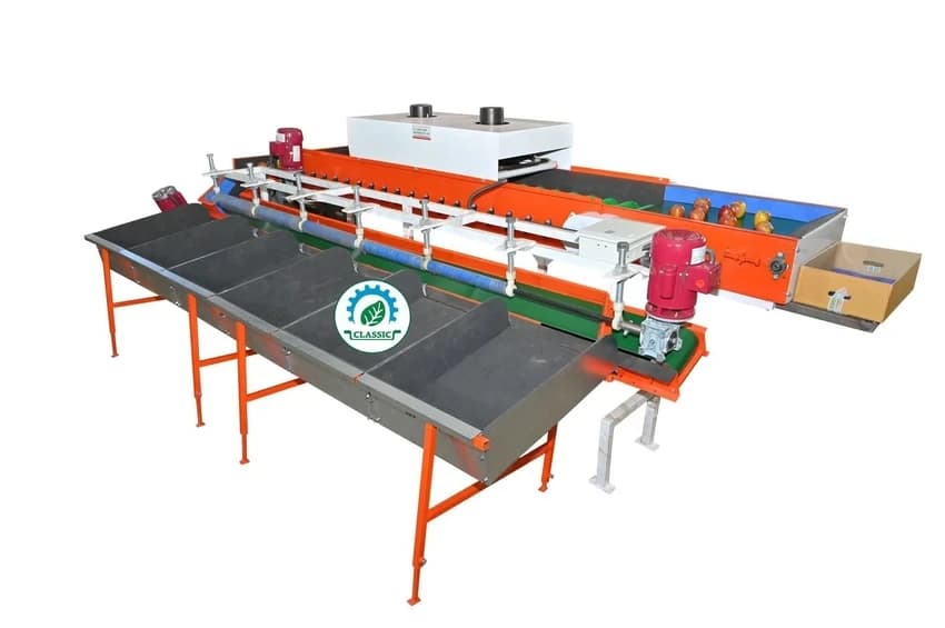 Automatic 100 Boxes/day Kinnow Grading Machine, 1000 kg/hr