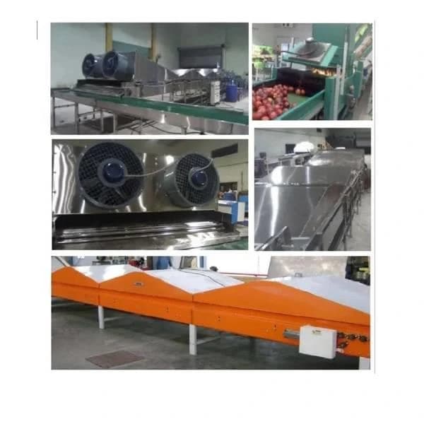 Orange Grader Machine