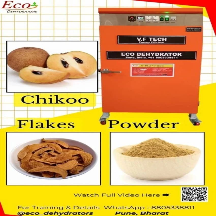 12 Tray Automatic Chikoo Dehydrator Machine, 50 Kgs