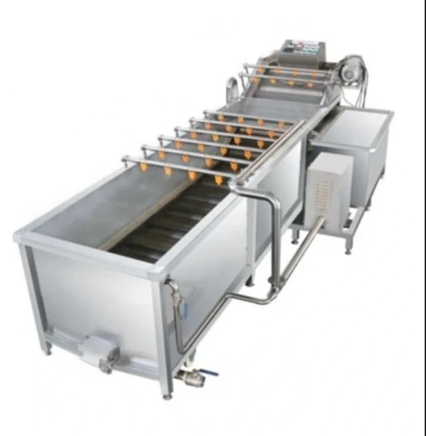 Fruit Cleaning And Waxing Machine, For Industrial