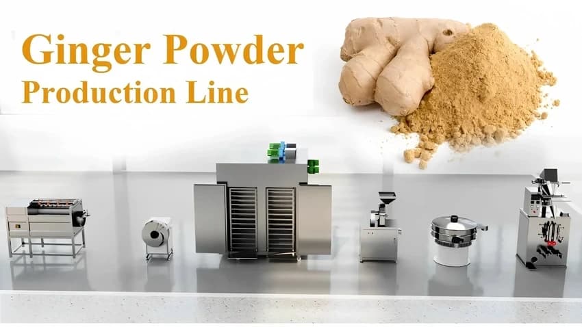 Automatic Ginger Processing Plant, 2000 kg/hr