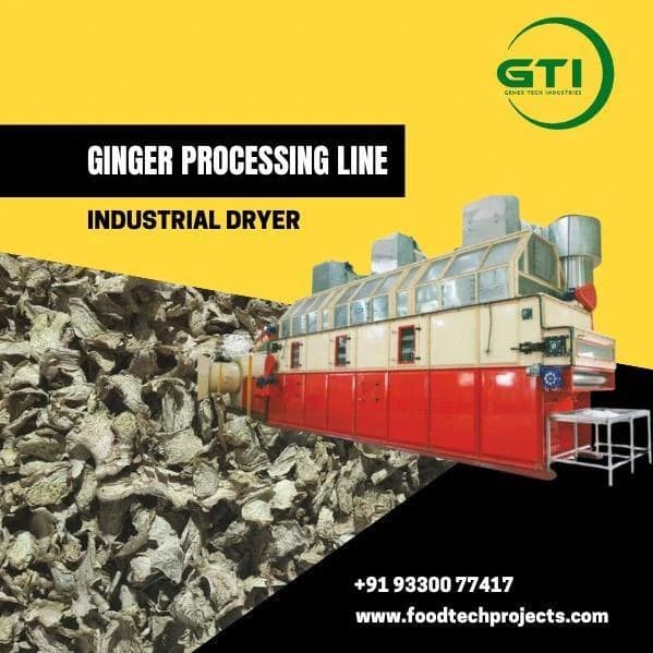 Ginger Processing Machine – Genex Tech Industries Efficient & Hygienic Ginger Processing