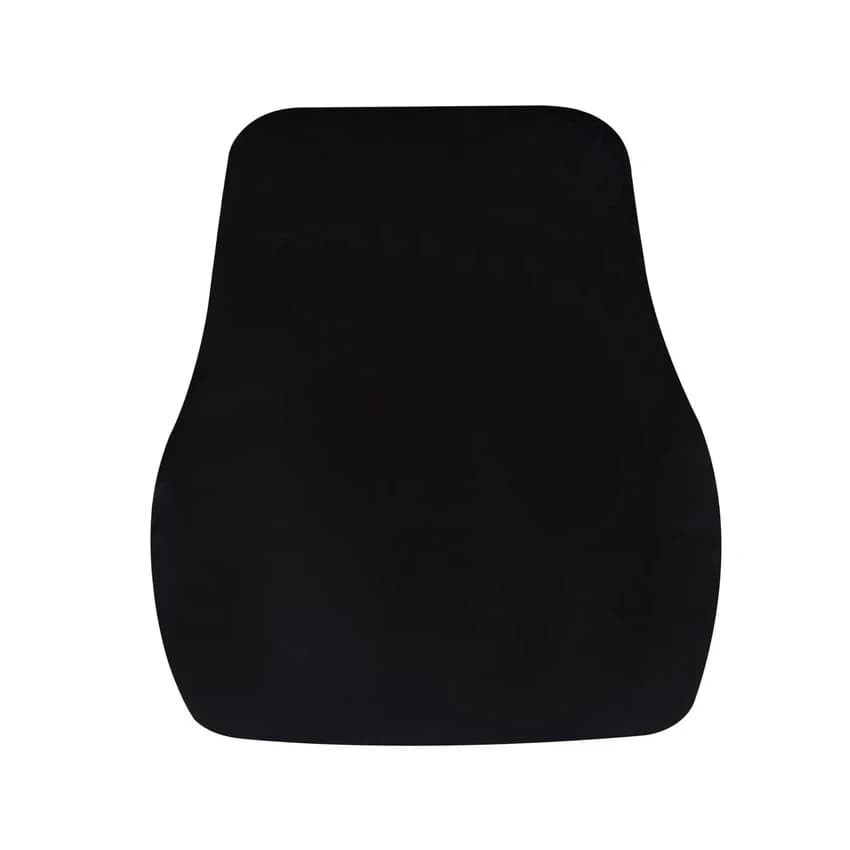 Lumbar Back Support