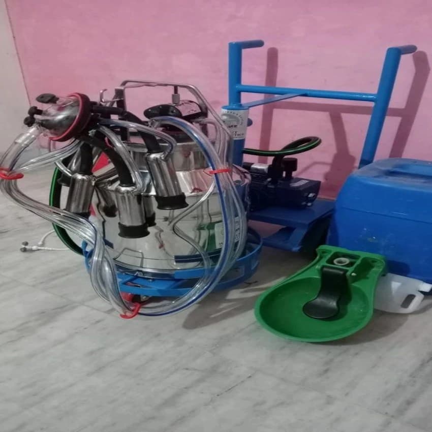 Automatic Single Bucket Milking Machine With Trolley