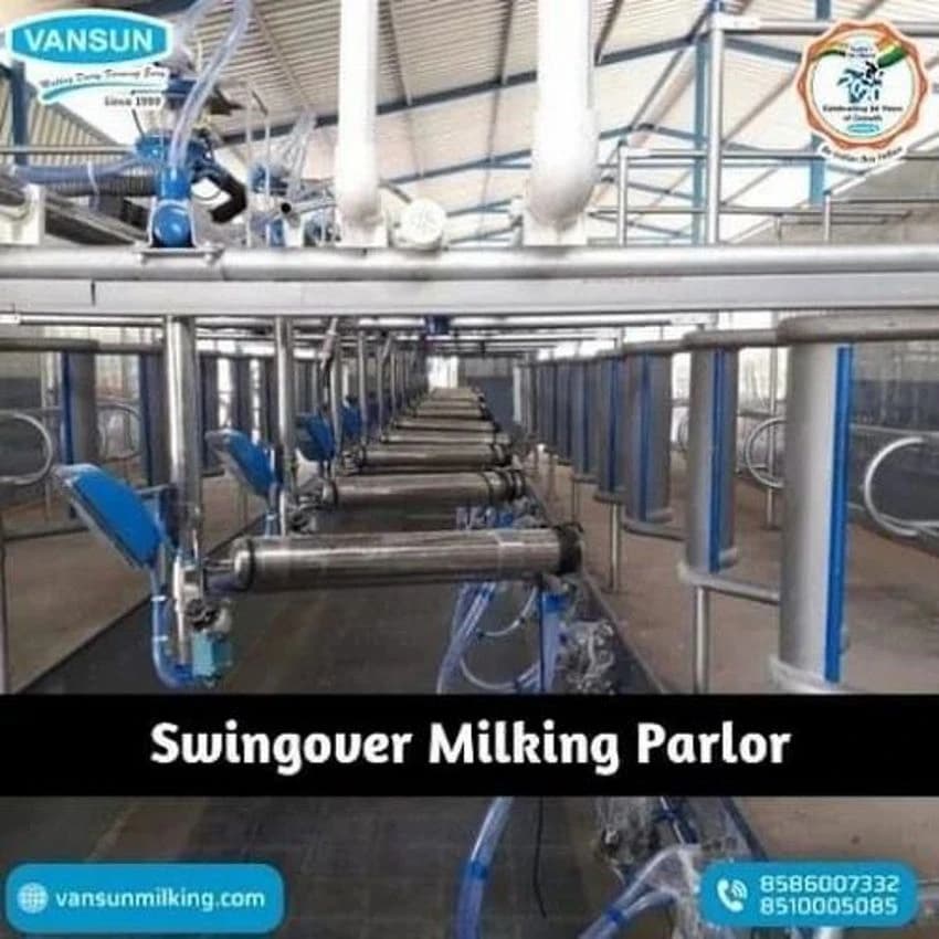 Swingover Milking Parlor
