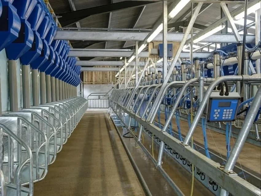 Herringbone Milking Parlour, Capacity: 100 cows