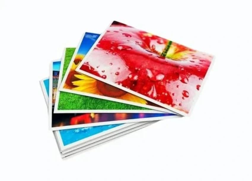 PP Color Sheet