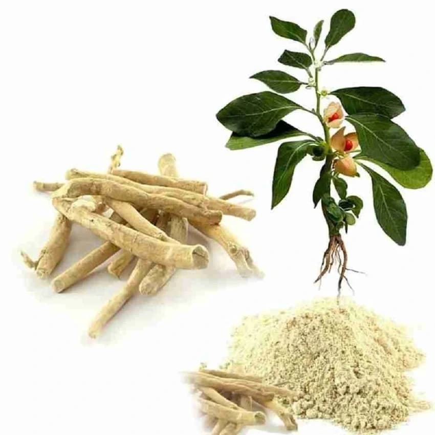 Dehydrated 100% Pure Herbal Root Powder, Packaging Size: 500g