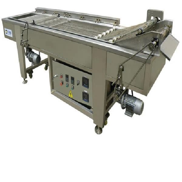 Continuous Fryer