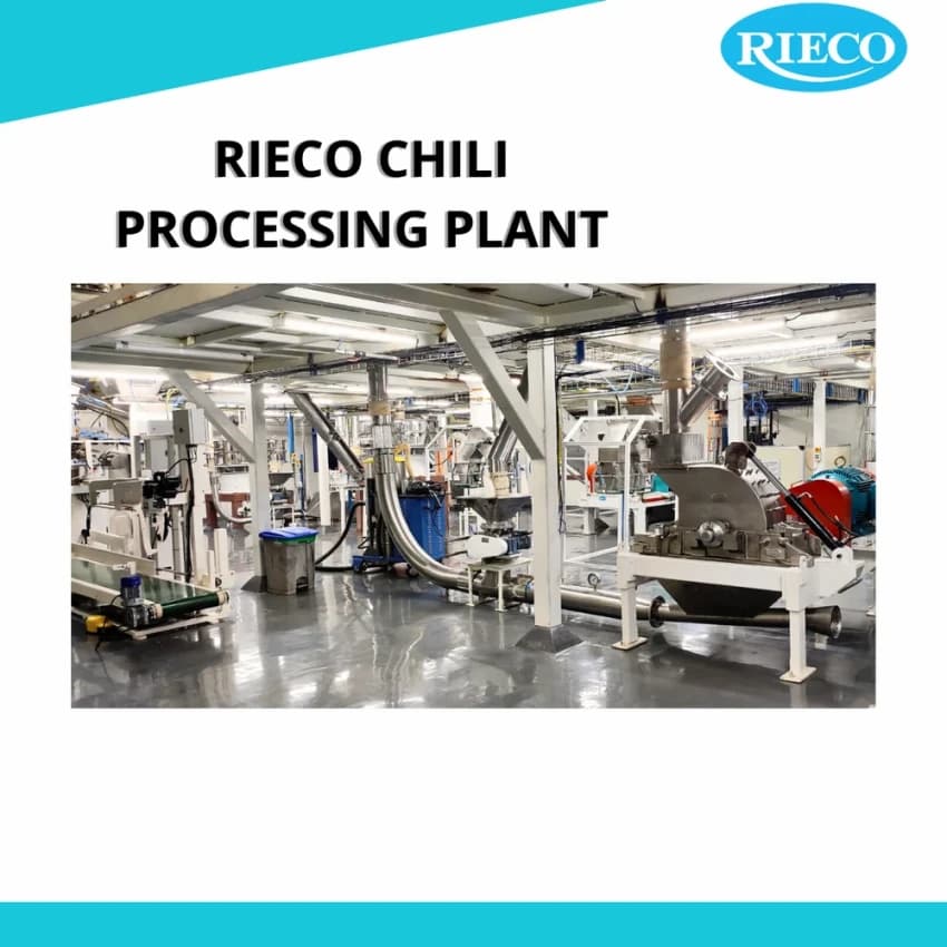 250 KG/HR Chili Grinding Machine, Hammer Mill