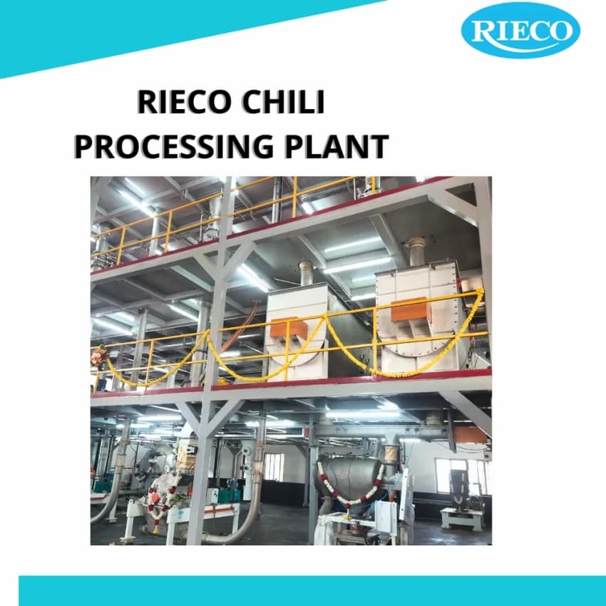 3000 Kg/Hr Chili Processing Plant
