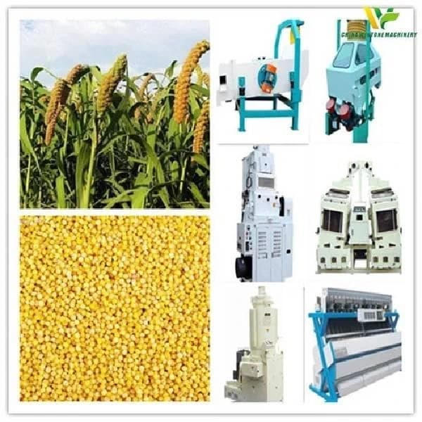 Millets Processing Machine