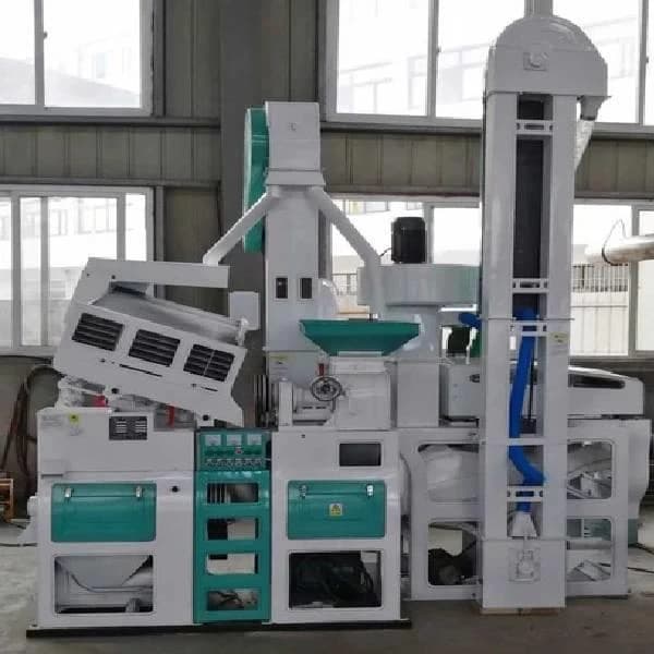 Compact 1 Ton Rice Plant