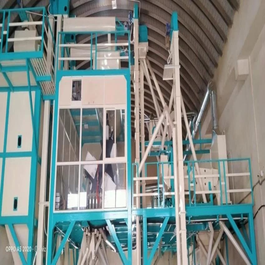 Painted Sortex Cleaning Plants