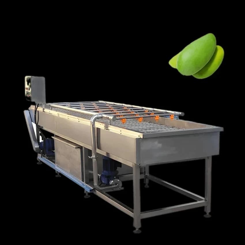 1000 Kg/hr Fruits And Vegetables Brush Washer