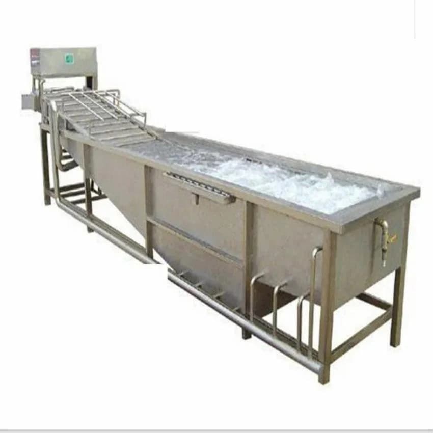 Vegetables And Fruit Washer, 400 Kg/hr