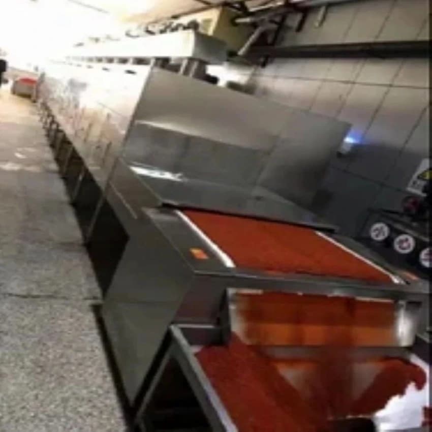 MS,SS Food Dryer Machine