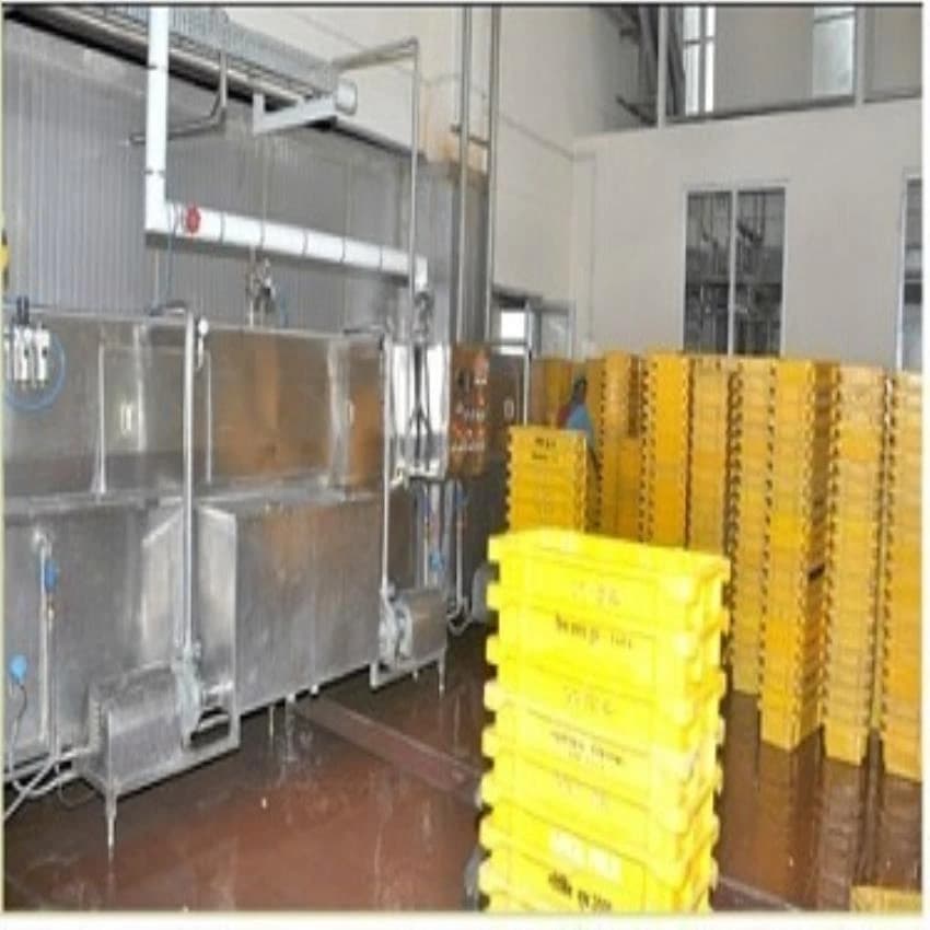 Stainless Steel Crate Washer for Industrial