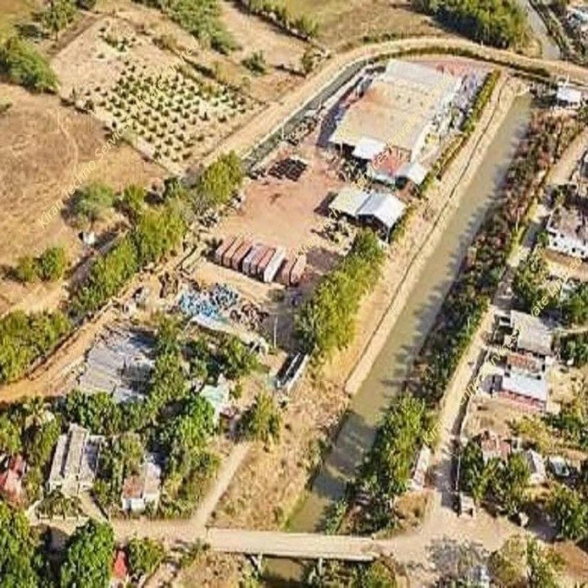 Aloe Vera Processing Plant, Capacity: 5 Tpd To 500 Tpd