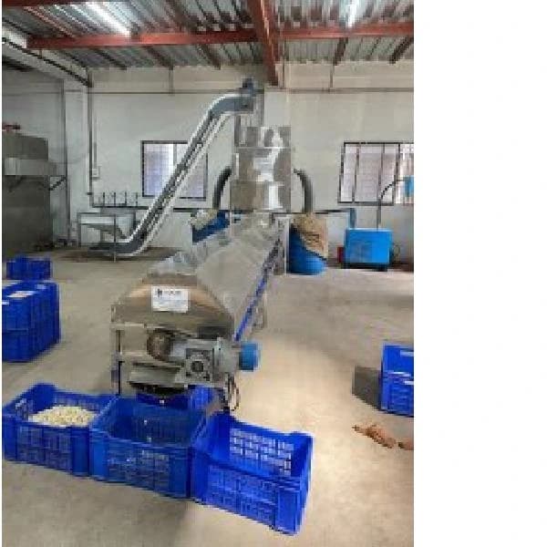 Automatic Cashew Peeling Machine