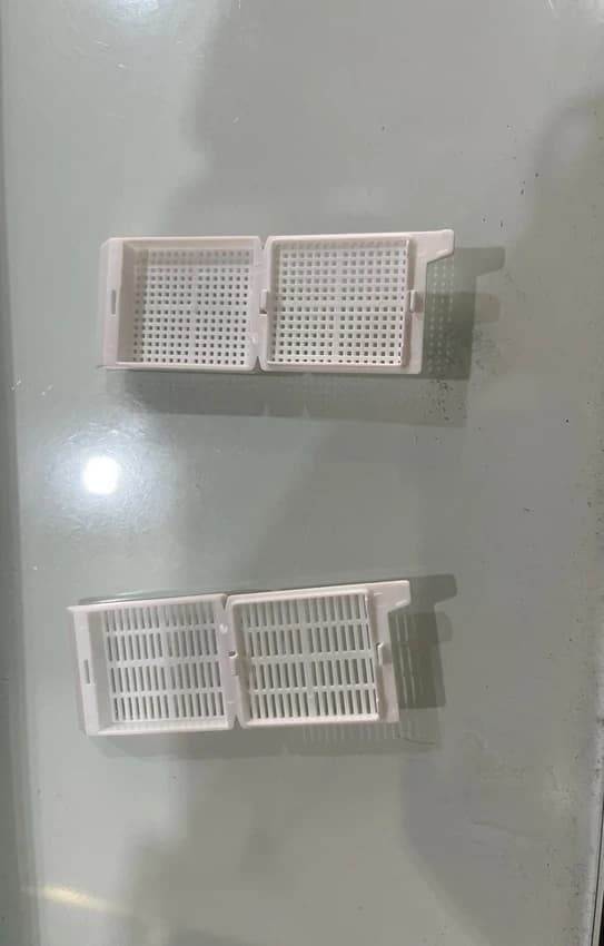 Plastic Tissue Embedded Cassette, For HISTOPATHOLOGY