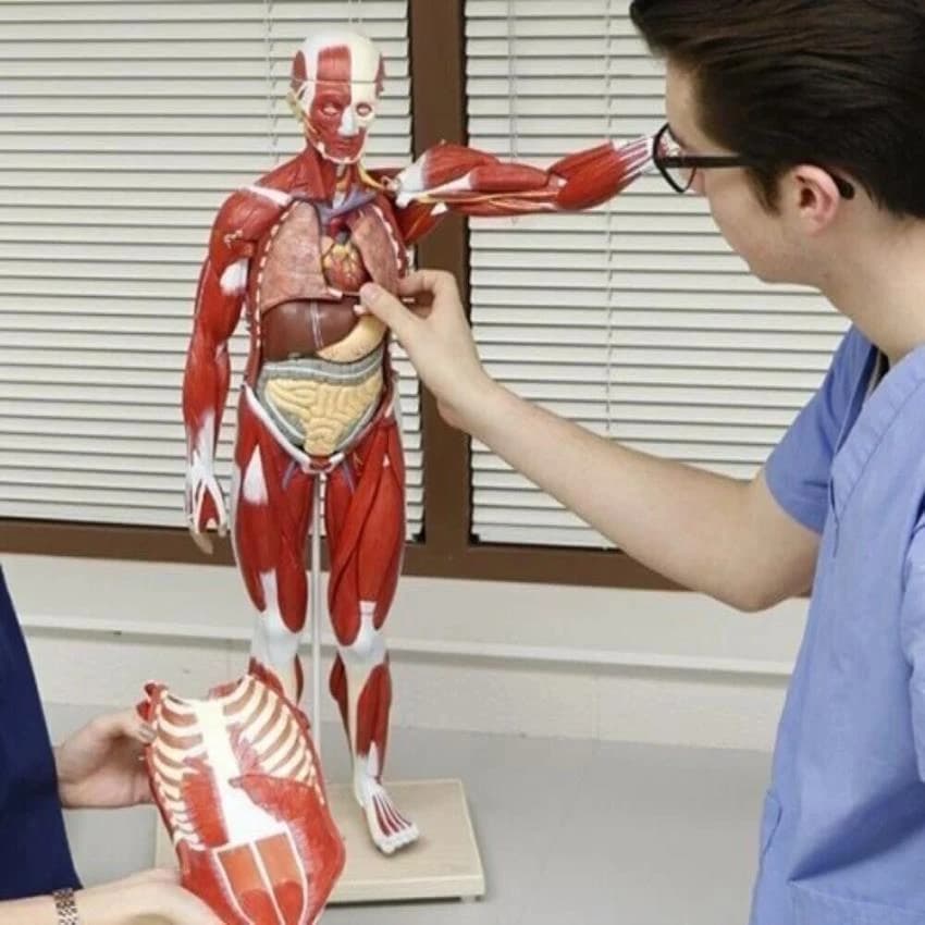 Nursing Instrument Set Up