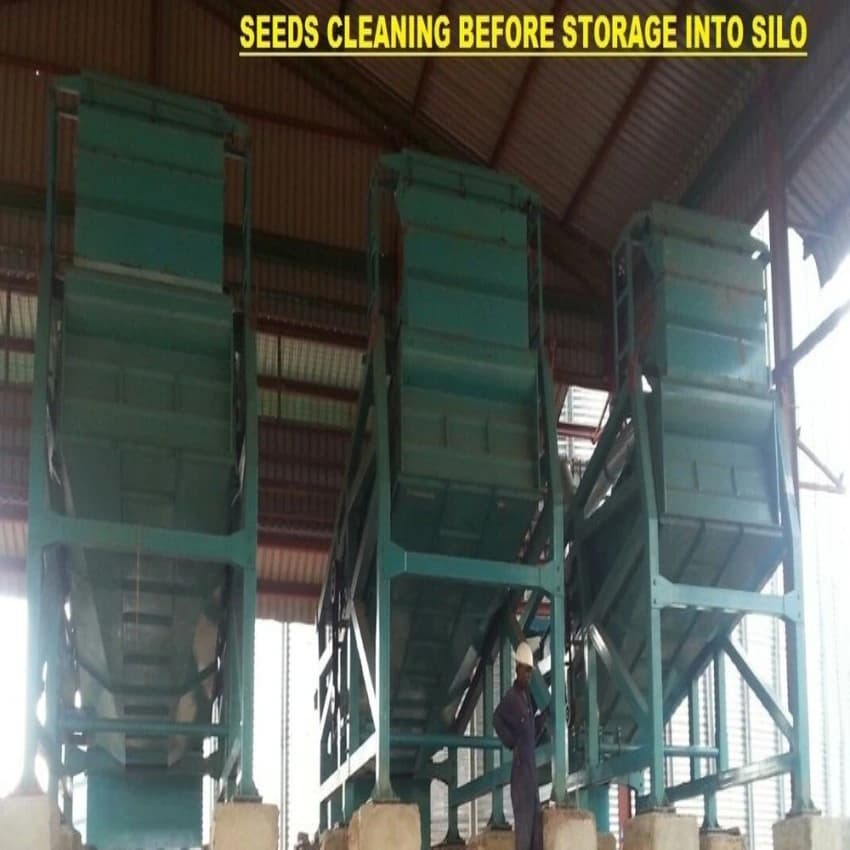 MS Flat Bottom Seed Cleaning For Silo Storage, For Industrial, Storage Capacity: 0-50 ton